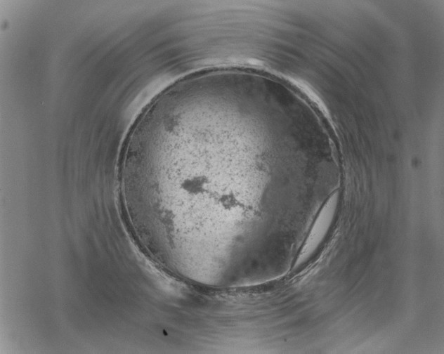 X0000068900895200605122057