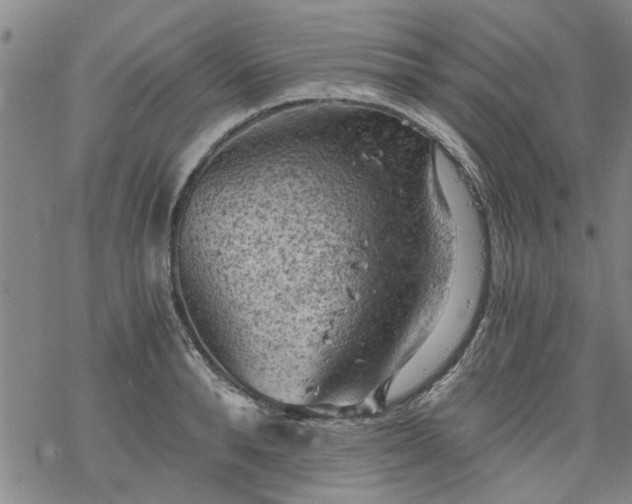 X0000068900896200605122057