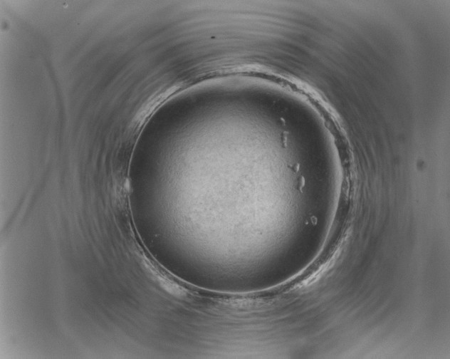 X0000068900897200605122057