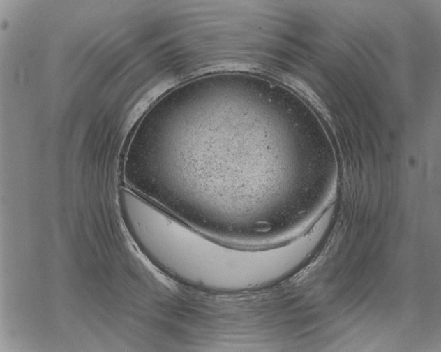 X0000068900898200605122057