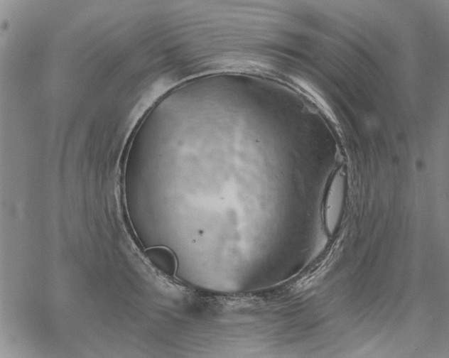 X0000068900899200605122057