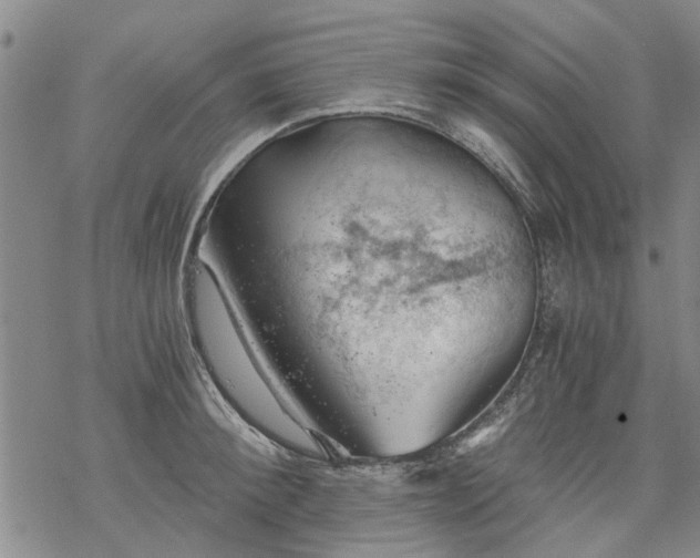 X0000068900900200605122057