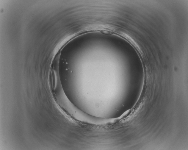 X0000068900901200605122057