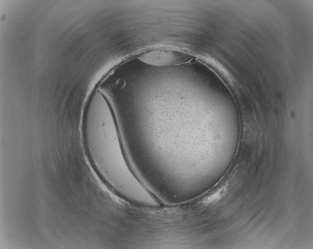 X0000068900902200605122057