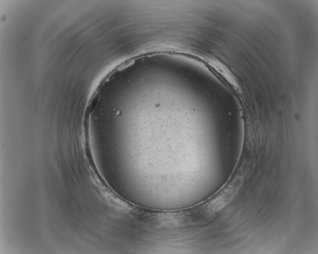 X0000068900904200605122057