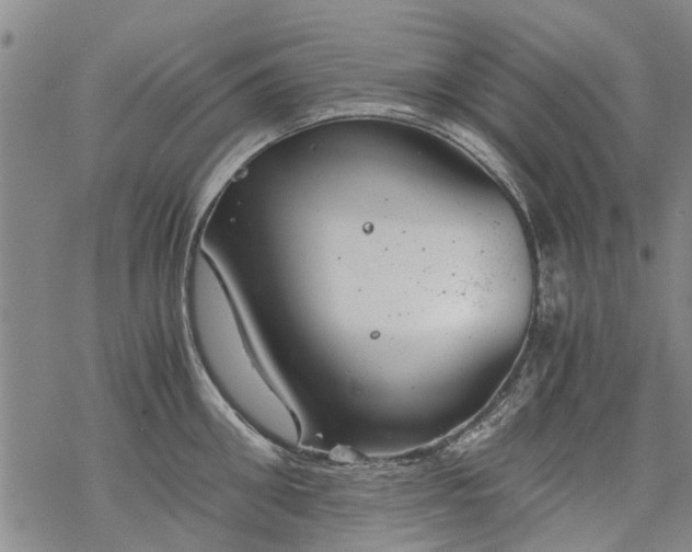 X0000068900906200605122057