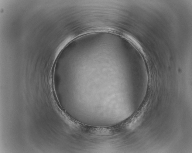 X0000068900907200605122057