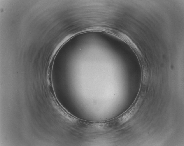 X0000068900908200605122057