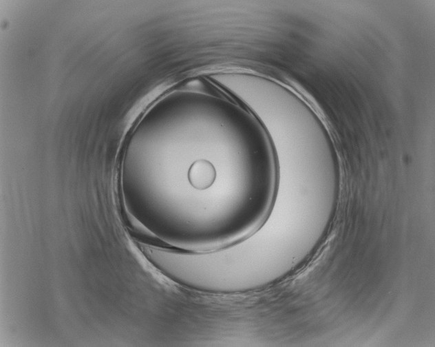 X0000068900909200605122057