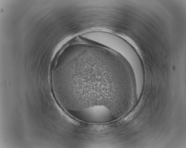 X0000068900910200605122057