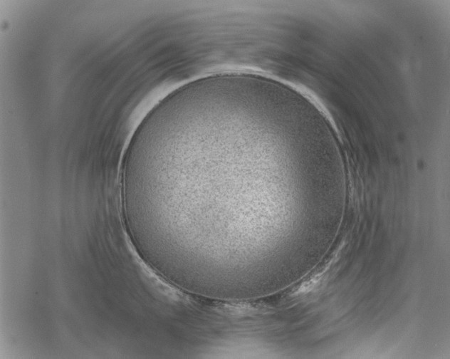 X0000068900911200605122057