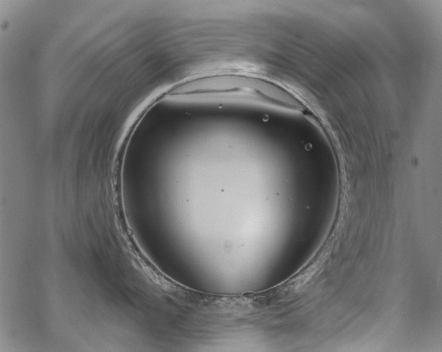 X0000068900912200605122057