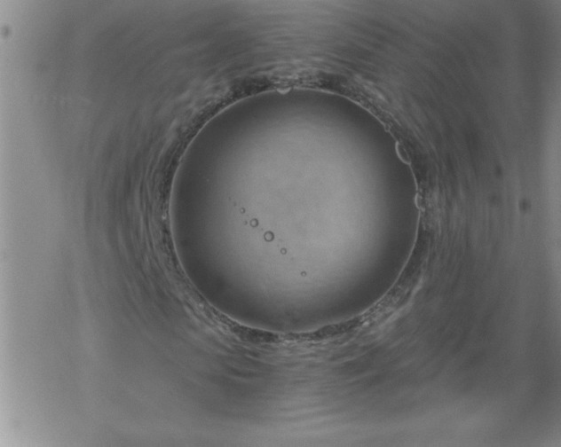 X0000068900913200605122056