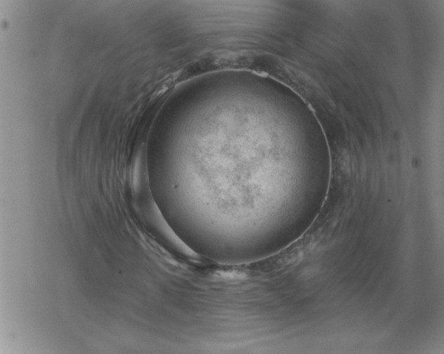 X0000068900914200605122056