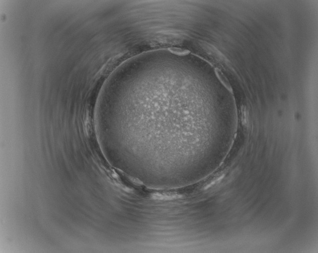 X0000068900915200605122056