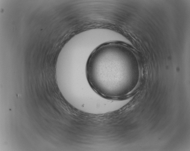 X0000068900916200605122056