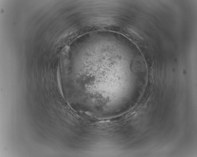 X0000068900917200605122056