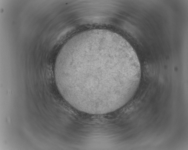 X0000068900918200605122056