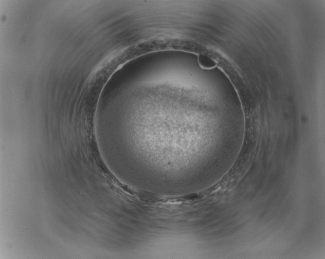 X0000068900919200605122056