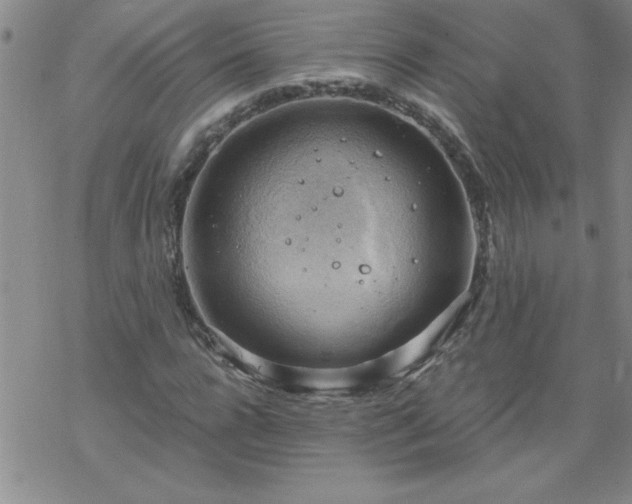 X0000068900920200605122056