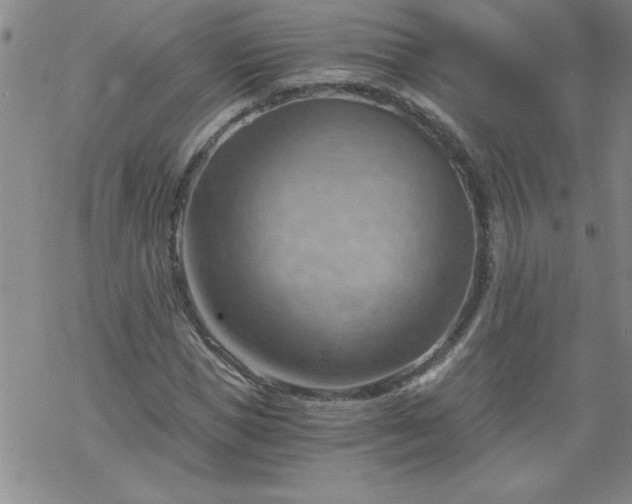 X0000068900921200605122056