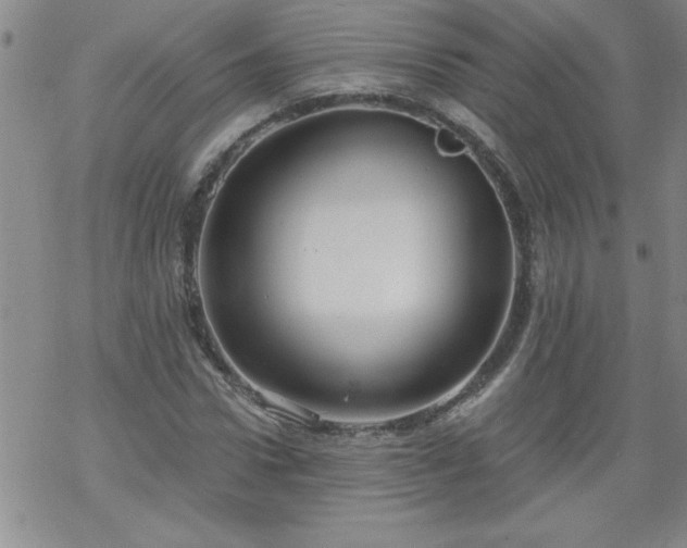 X0000068900922200605122056