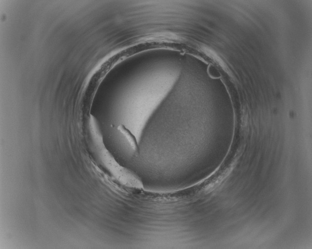 X0000068900923200605122056