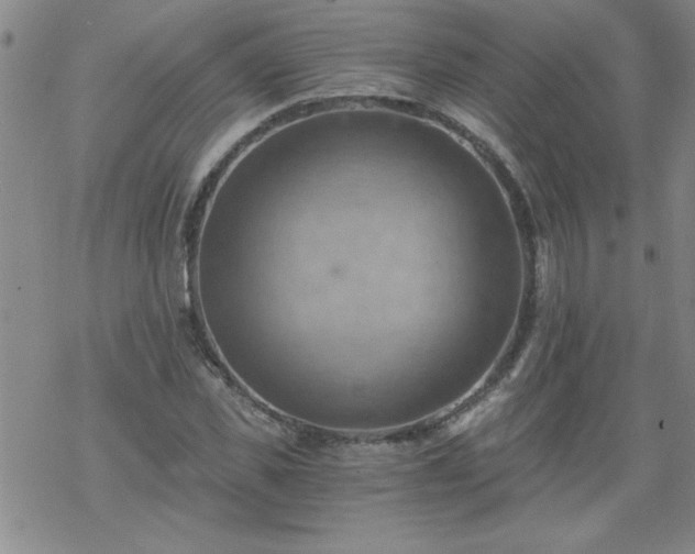 X0000068900925200605122056