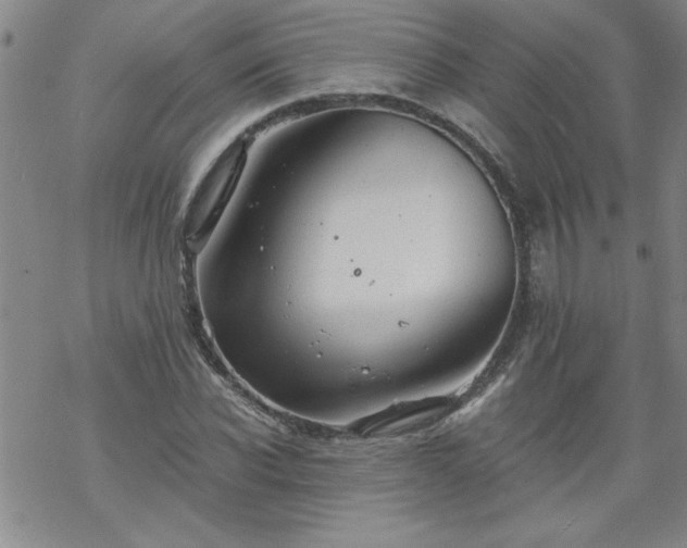 X0000068900926200605122056