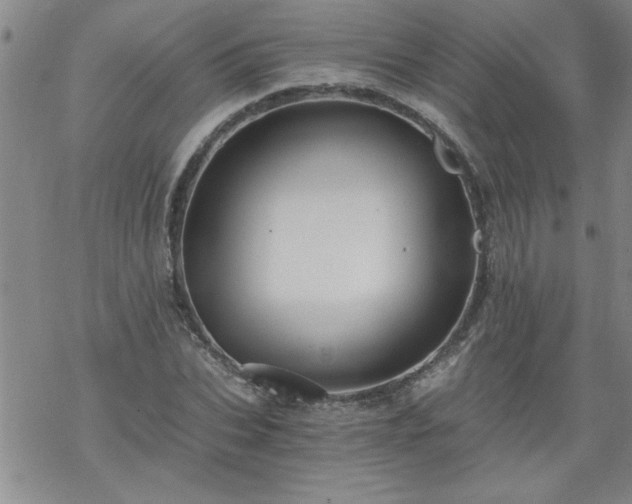 X0000068900927200605122056