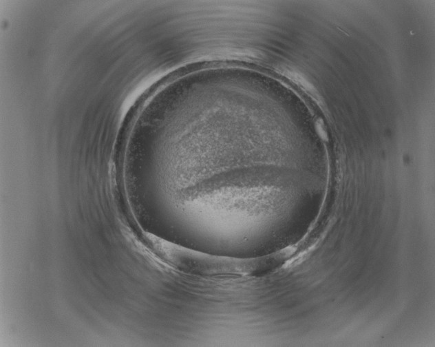 X0000068900928200605122056