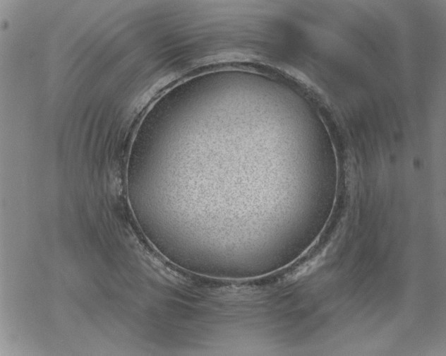 X0000068900929200605122056