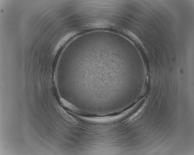 X0000068900930200605122056