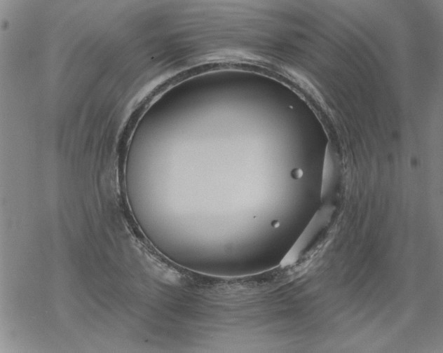 X0000068900931200605122056