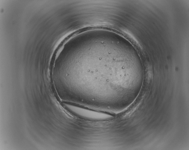 X0000068900932200605122056