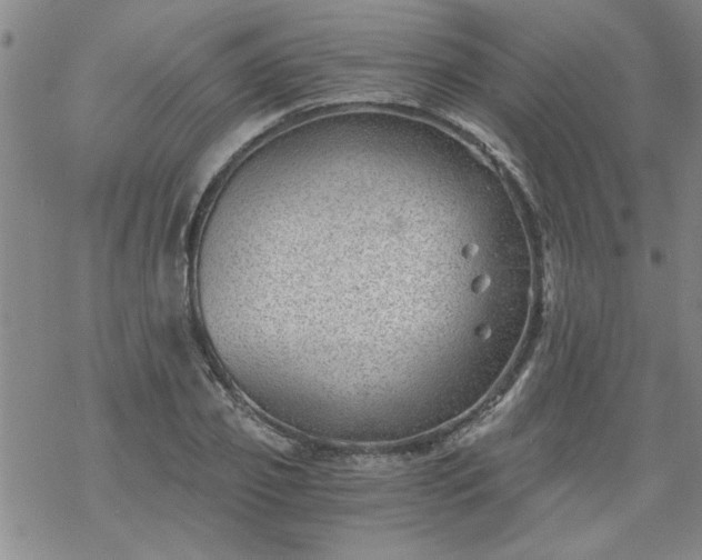 X0000068900933200605122056