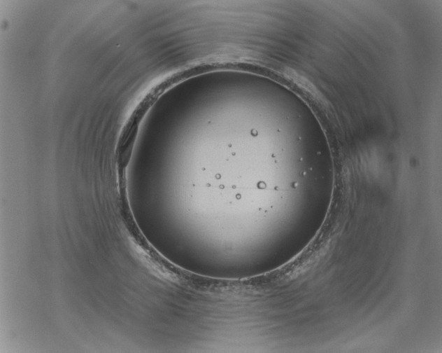 X0000068900934200605122056