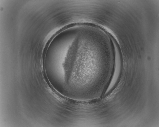 X0000068900935200605122056