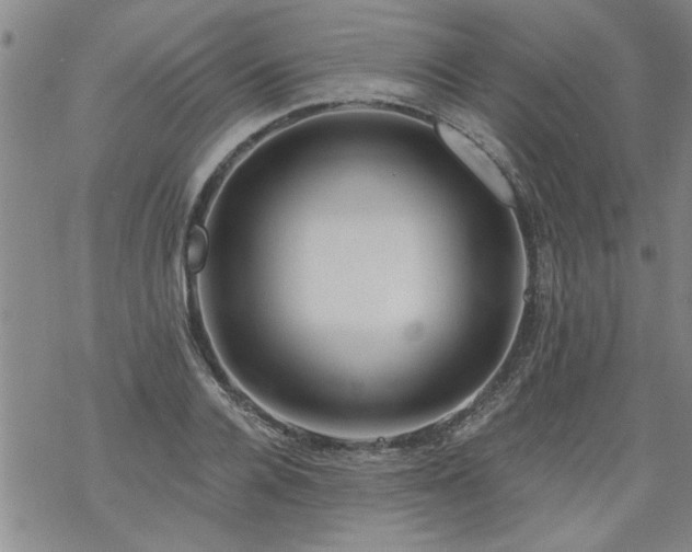 X0000068900936200605122056