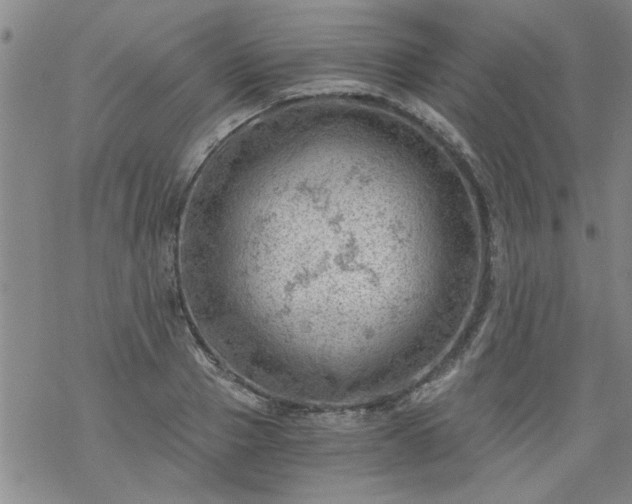 X0000068900937200605122056