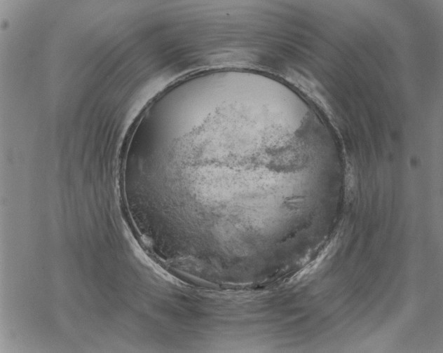 X0000068900941200605122056