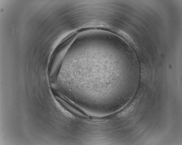 X0000068900942200605122056