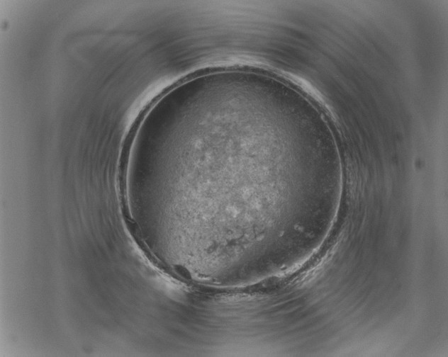 X0000068900943200605122056