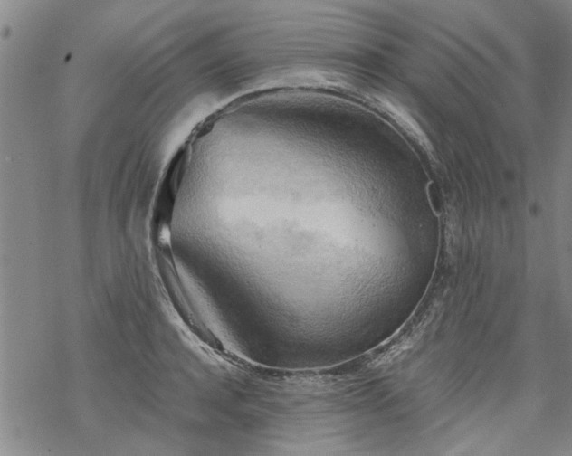 X0000068900944200605122056