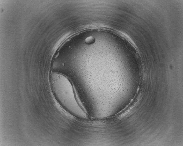 X0000068900946200605122056