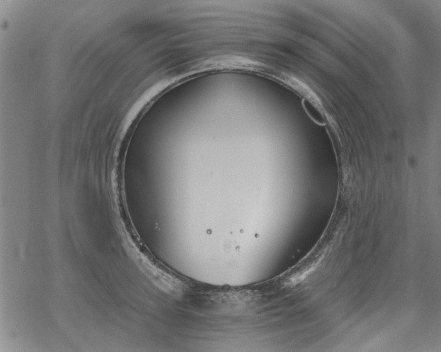 X0000068900947200605122056