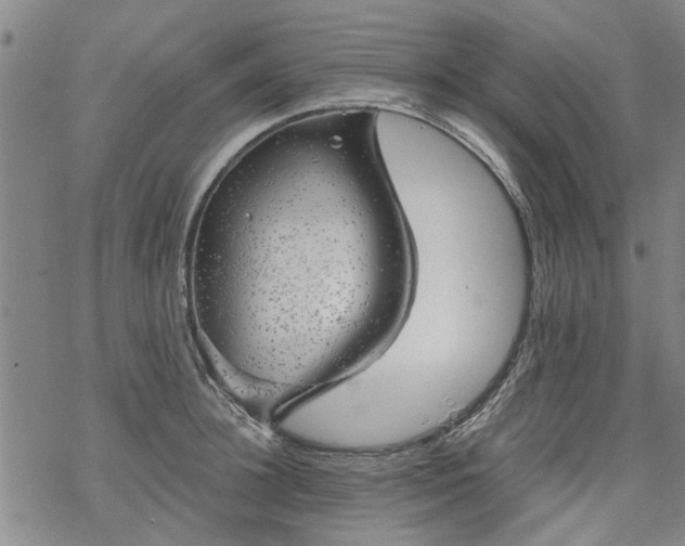 X0000068900948200605122056