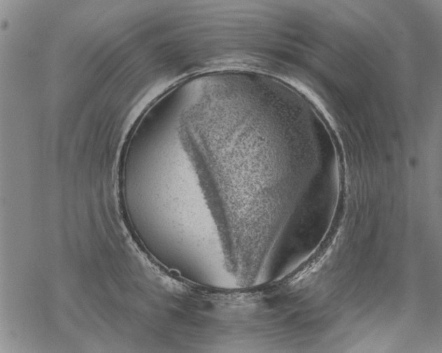 X0000068900949200605122056