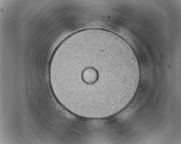 X0000068900950200605122056