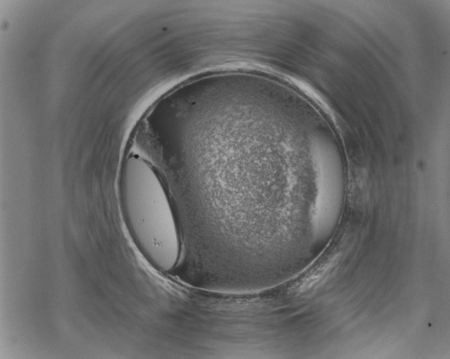 X0000068900951200605122056